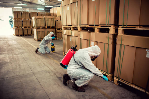 Best Mosquito Control Services  in Shannon Hills, AR