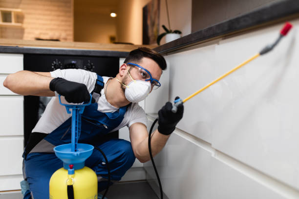 Best Pest Control Near Me in Shannon Hills, AR