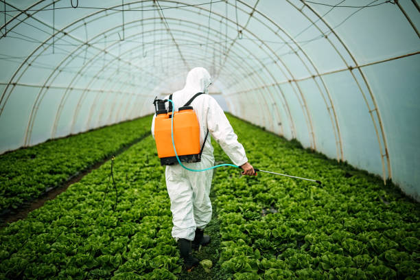 Reliable Shannon Hills, AR Pest Control Solutions