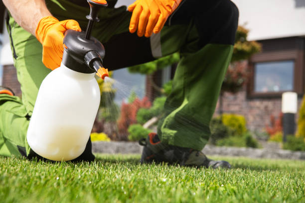 Insect Control in Shannon Hills, AR