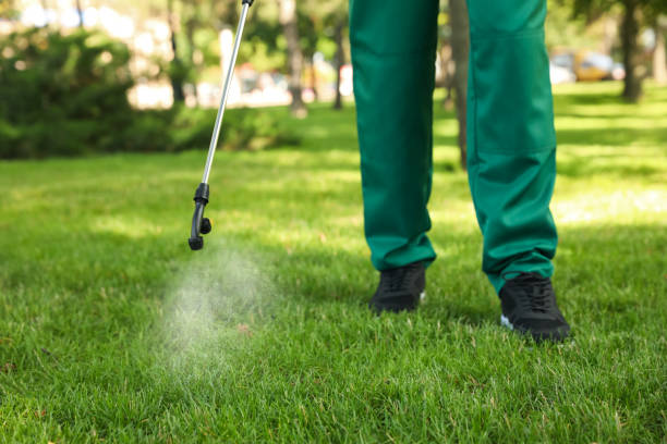 Best Flea Control Services  in Shannon Hills, AR