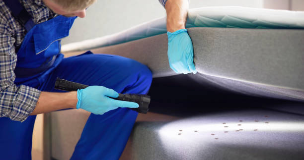 Best Pest Prevention Services  in Shannon Hills, AR