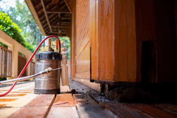 Best Pest Prevention Services  in Shannon Hills, AR