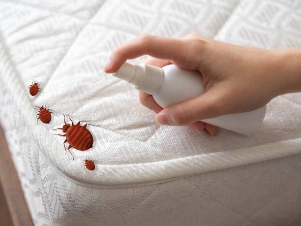 Best Commercial Pest Control Services  in Shannon Hills, AR