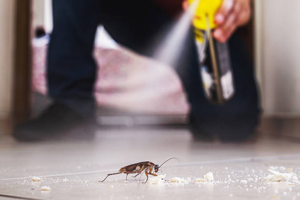 Best Local Pest Control Services  in Shannon Hills, AR