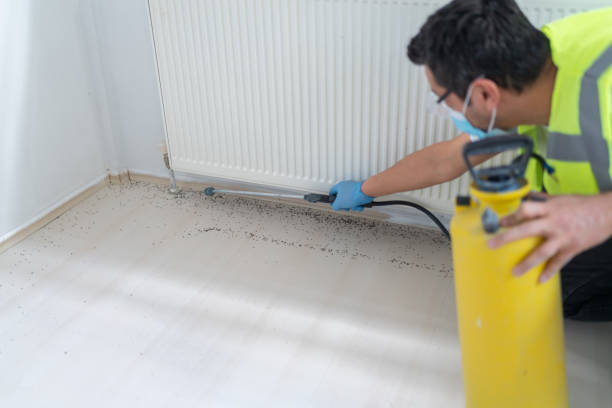 Best Pest Inspection Near Me  in Shannon Hills, AR