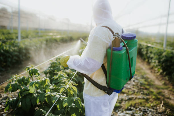 Pest Prevention Services in Shannon Hills, AR